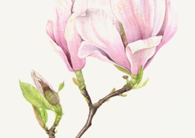 Dawn Burford