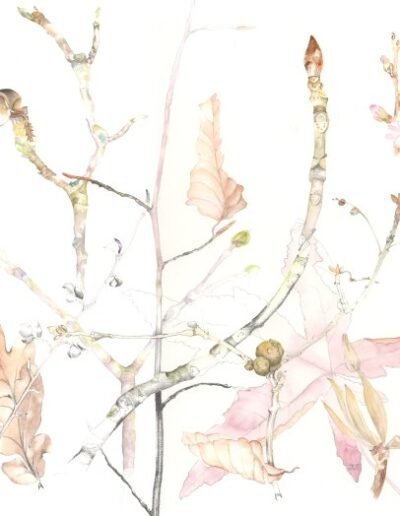 Highbury Feb by Jane Edwards