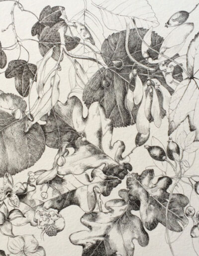 artwork by Jane Edwards