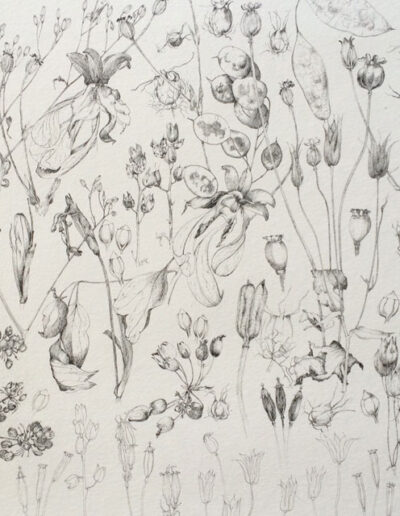 Artwork by Jane Edwards