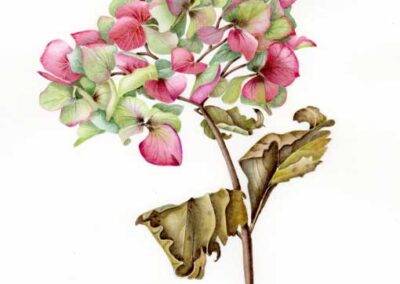Jennifer Leeming