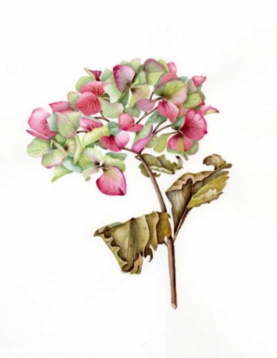 Artwork by Jennifer Leeming